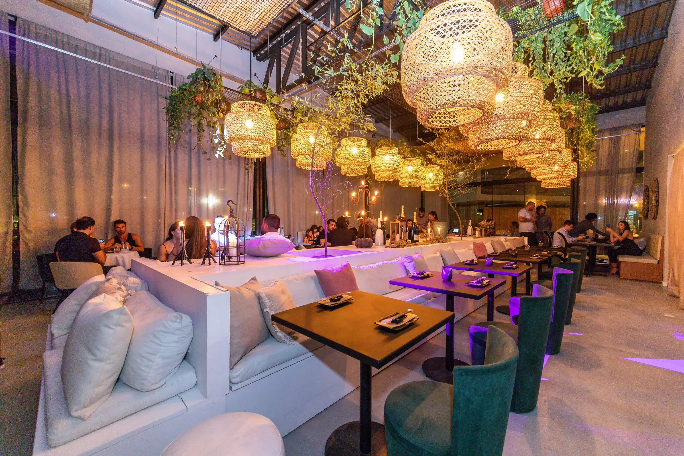 Ambiente de Noma Sushi — Jurerê